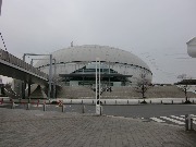 シンクロ頭の作り方 Sackey Monkey 05