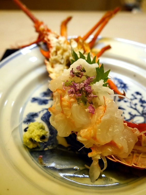 もめん 、1月。_b0118001_23474644.jpg