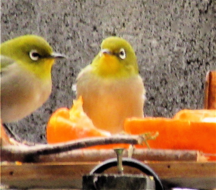 a0164011_12105455.jpg