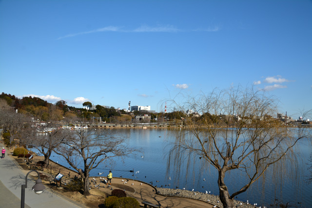 水戸・千波湖にて_f0103534_19522613.jpg