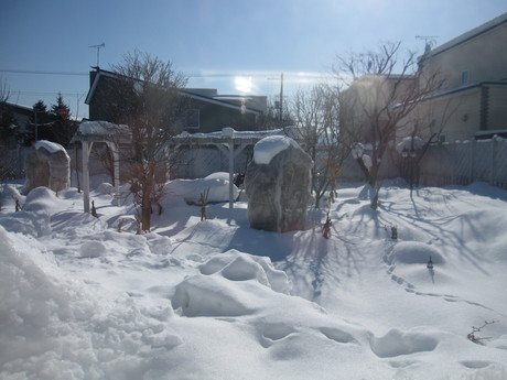 a0279743_11353050.jpg