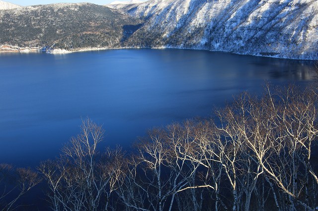 北海道の旅ー6、摩周湖他_f0288049_1162032.jpg