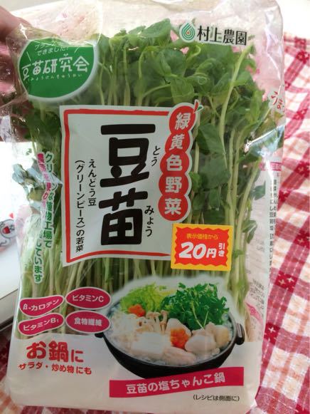 豆苗_f0126965_15395215.jpg