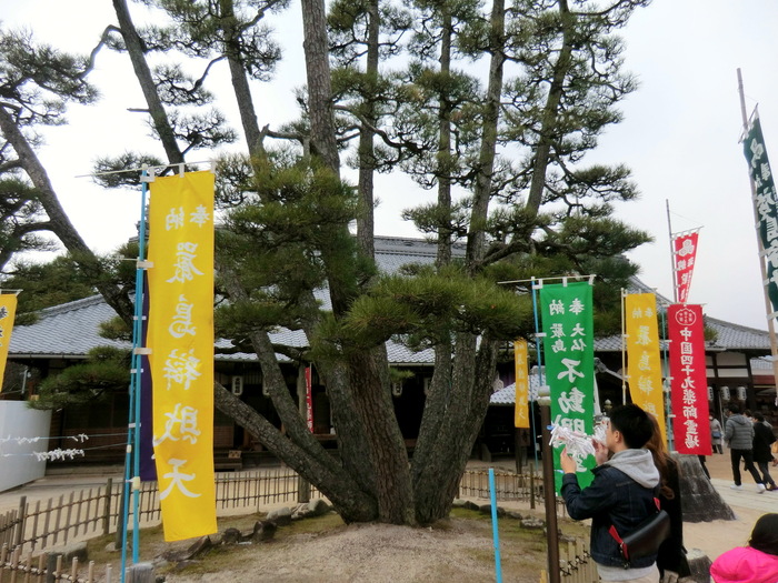 No375 初登りは広島・宮島の二つの三角点弥山_b0185573_14222759.jpg