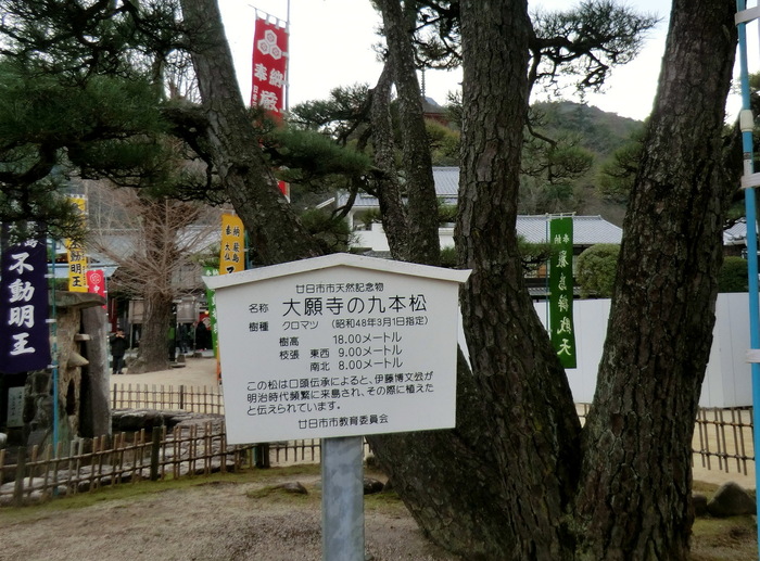 No375 初登りは広島・宮島の二つの三角点弥山_b0185573_1422932.jpg