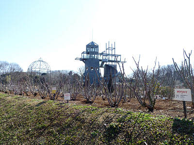 c0152779_11262250.jpg