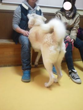 あっきぃ再手術となります。。_f0242002_013482.jpg