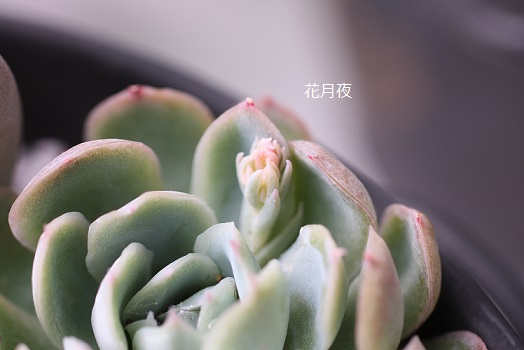 バテバテ^^;_c0178104_11551164.jpg