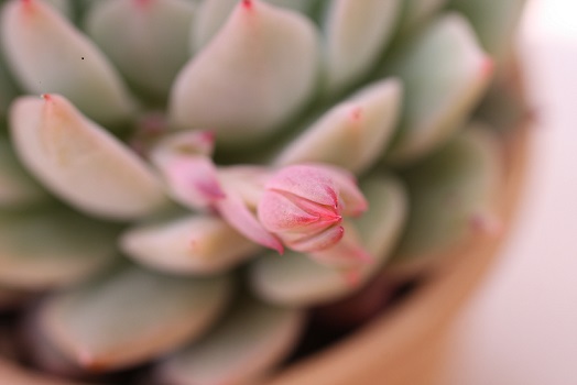 バテバテ^^;_c0178104_11553418.jpg