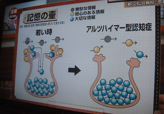 記憶の壺 : ♪パルちんライフ Ver2