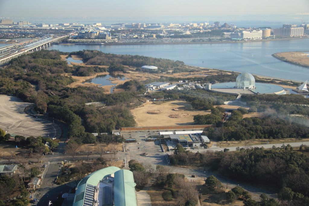 f0349409_07322899.jpg