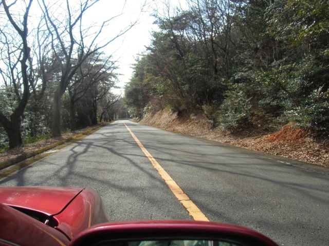b0181015_211228.jpg