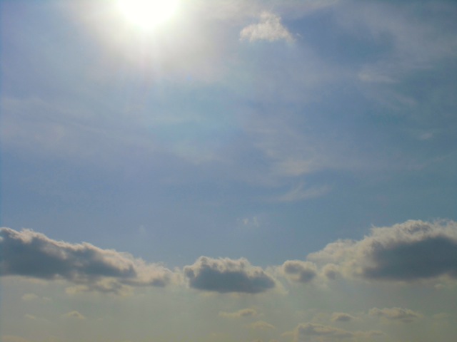 b0181015_21202762.jpg