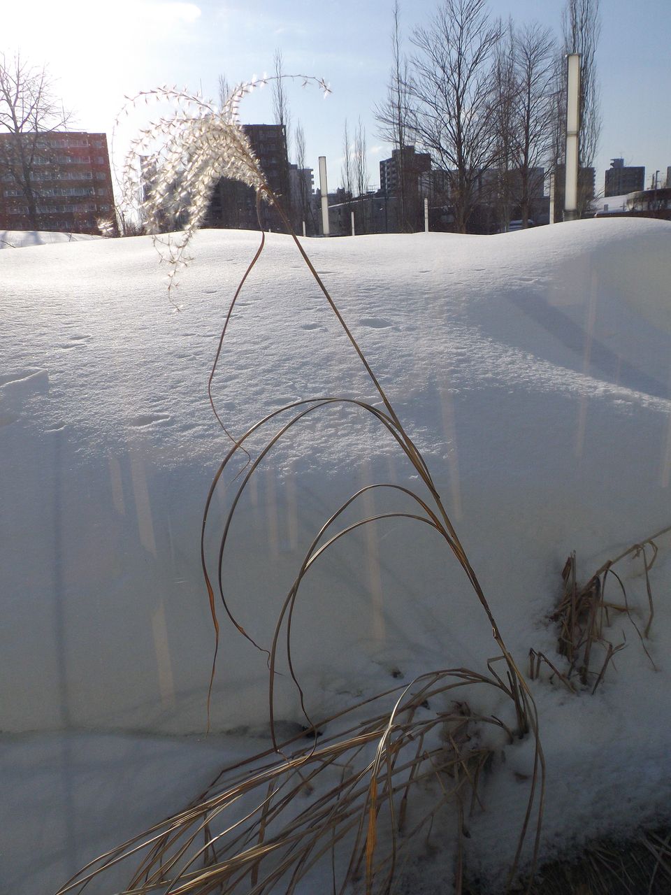立春後の寒波が続く北海道_c0025115_19553168.jpg