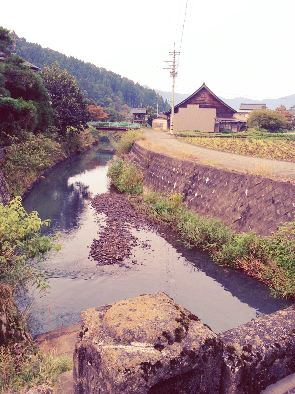 「領家」の地名由来_a0073224_2233218.jpg