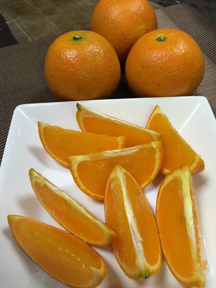 そろそろタンカンの季節です〜_e0041337_14484481.jpg