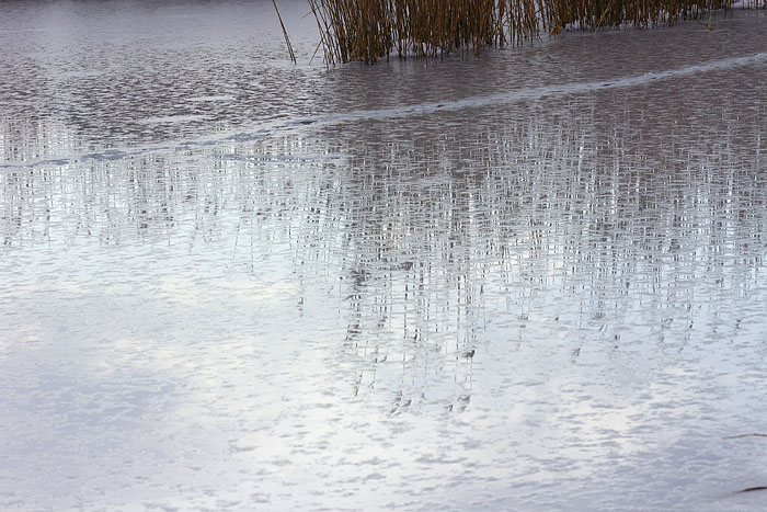 c0067040_23754.jpg