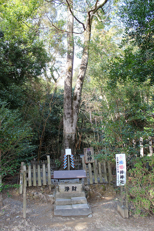 マジェスティ125♪日帰りツーリング♪海陽町編-07♪大里八幡神社♪_d0058941_20493526.jpg