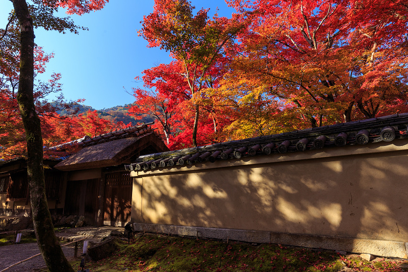 紅葉・獅子吼の庭（宝厳院）_f0155048_814226.jpg