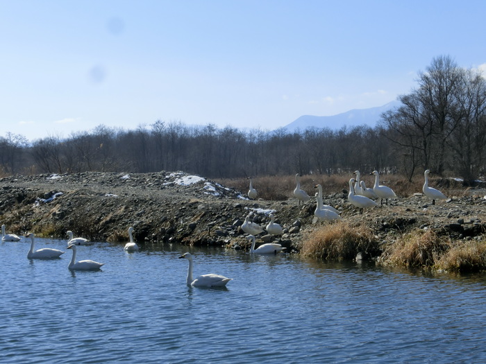 c0140260_13536.jpg