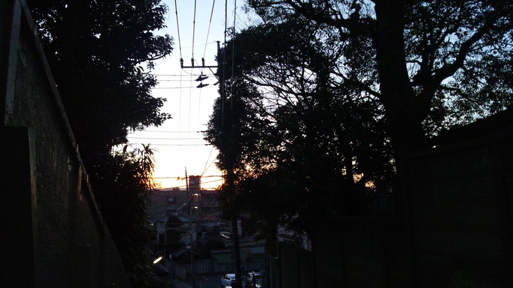 b0300769_2238224.jpg