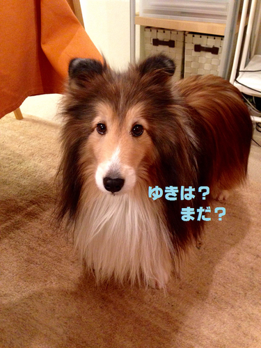 a0157174_2033113.png