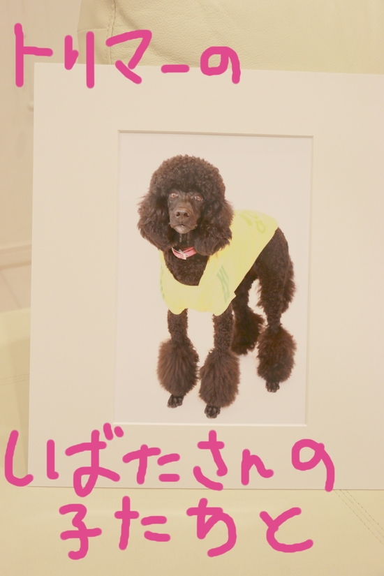 写真撮影会!の練習!第2弾!!!_c0245679_2214627.jpg
