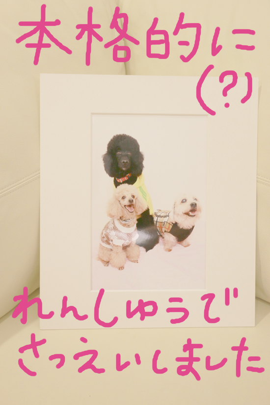 写真撮影会!の練習!第2弾!!!_c0245679_2223599.jpg