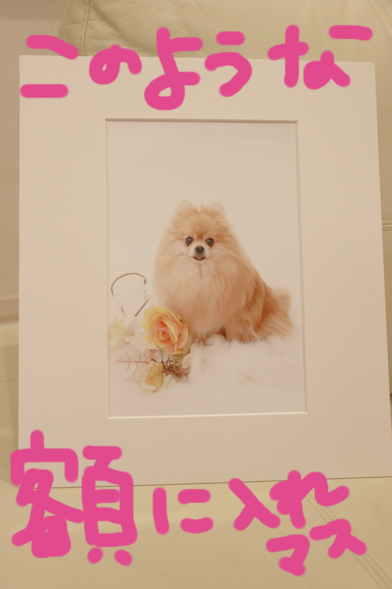 写真撮影会!の練習!第2弾!!!_c0245679_222506.jpg