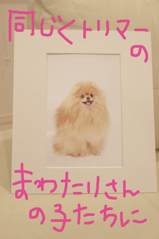 写真撮影会!の練習!第2弾!!!_c0245679_222594.jpg