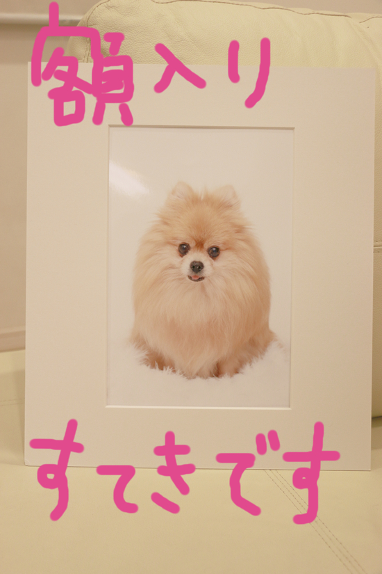写真撮影会!の練習!第2弾!!!_c0245679_2233676.jpg