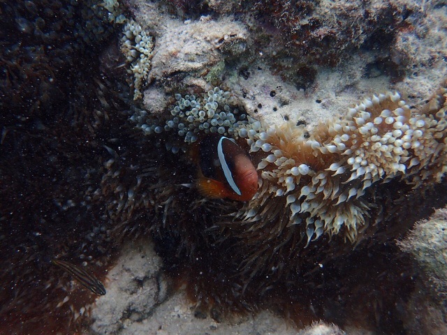 f0193680_22342845.jpg