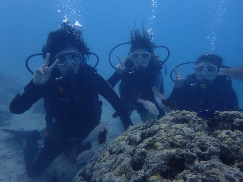 f0193680_2234522.jpg