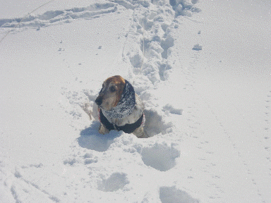 f0205887_13471942.gif