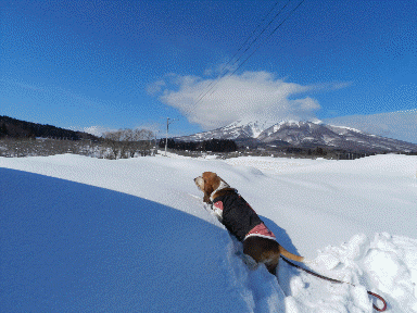 f0205887_13534996.gif