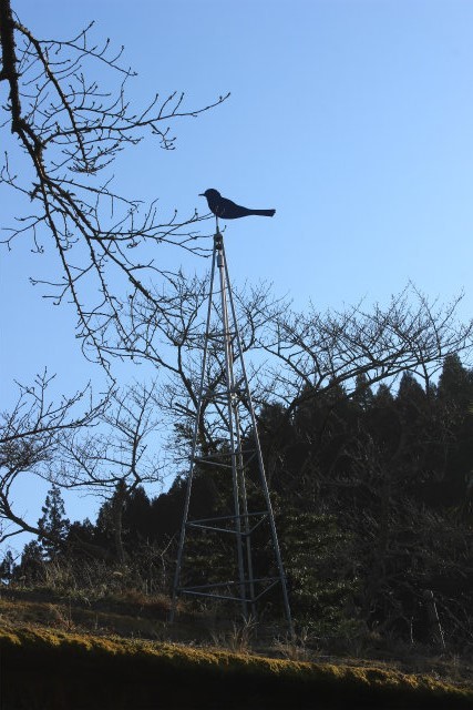 憧れの小湊鉄道に逢いに_b0246693_10180562.jpg