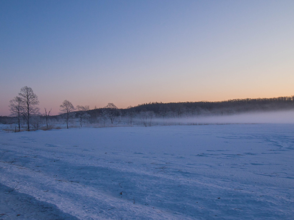 マイナス23℃毛嵐の立ち上がる幻想的な霧氷の風景_f0276498_17133383.jpg