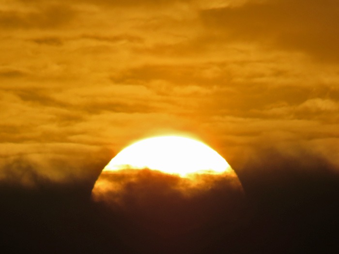 c0049299_22373391.jpg