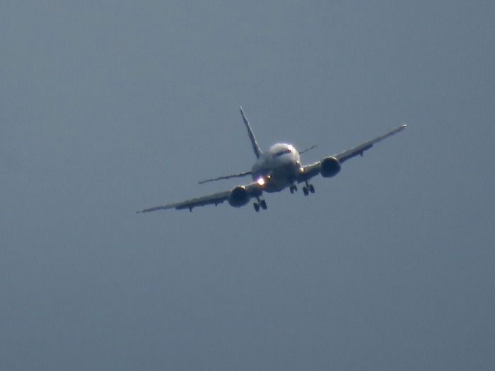 c0049299_22383010.jpg