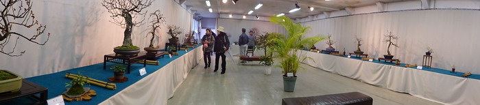 b0052108_06940.jpg