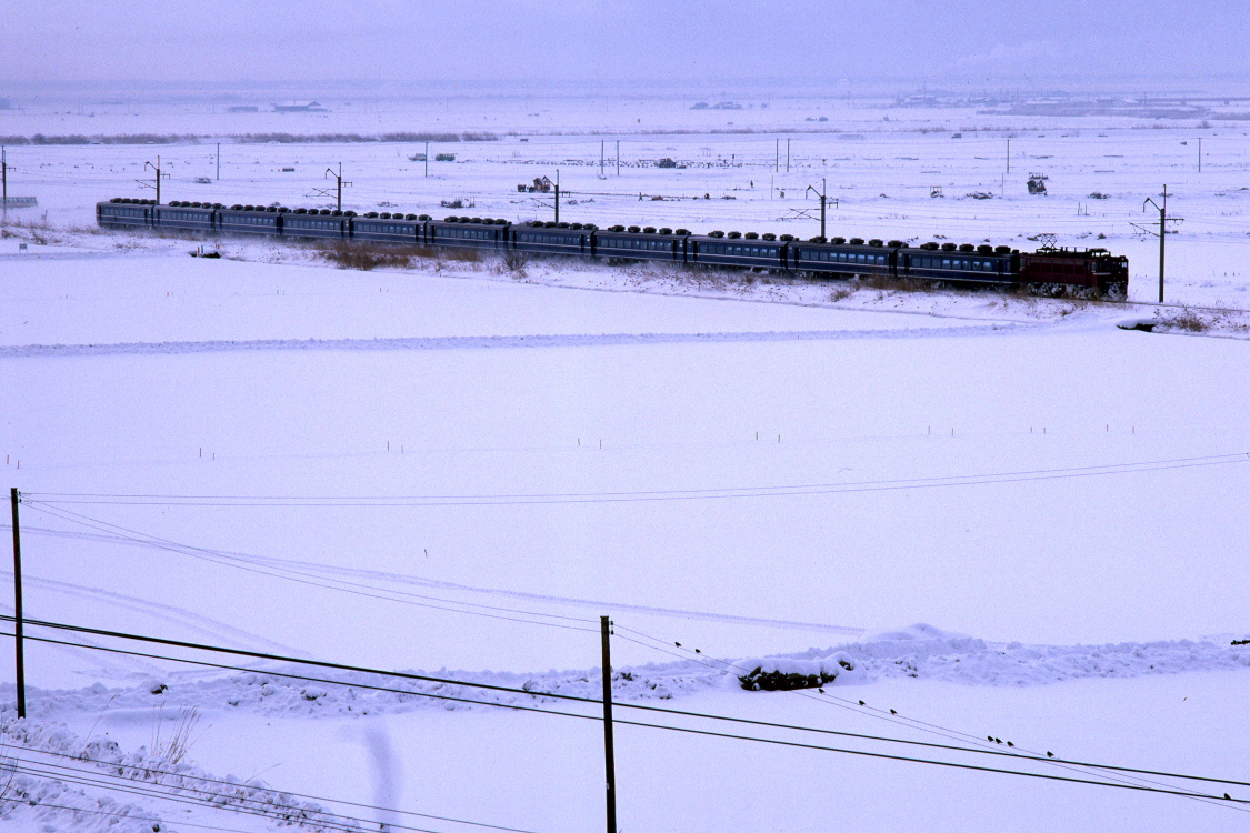 雪の朝を走る - 急行 津軽 - _b0190710_234328.jpg