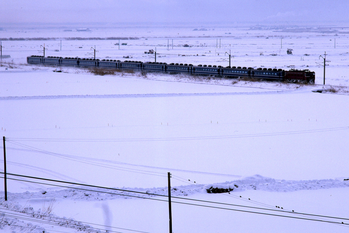 雪の朝を走る　- 急行 津軽 -  _b0190710_234328.jpg