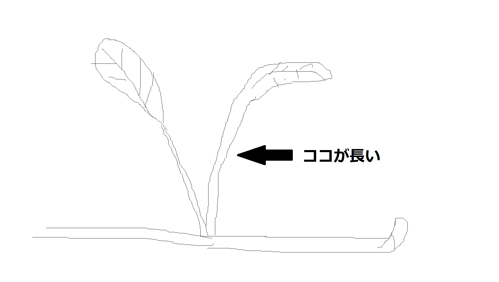 c0337613_23031830.png