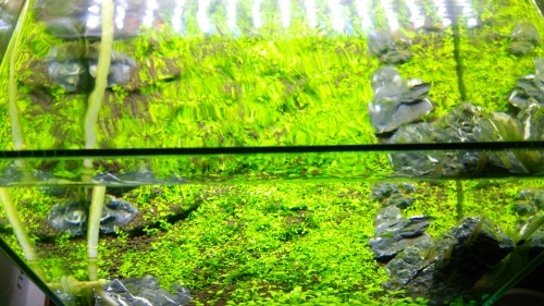 c0337613_23053216.jpg