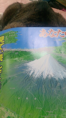 富士山の地下を探る。_f0220919_1157512.jpg