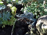 お水取り_b0211926_1757275.jpg