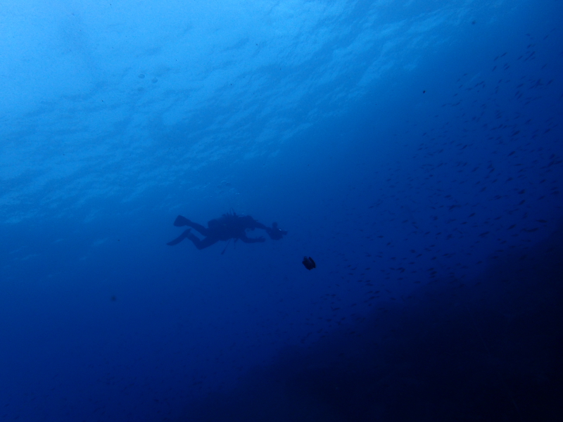 大瀬ログ　２　ジョニ夫　カメラ水没_c0034029_0392881.jpg