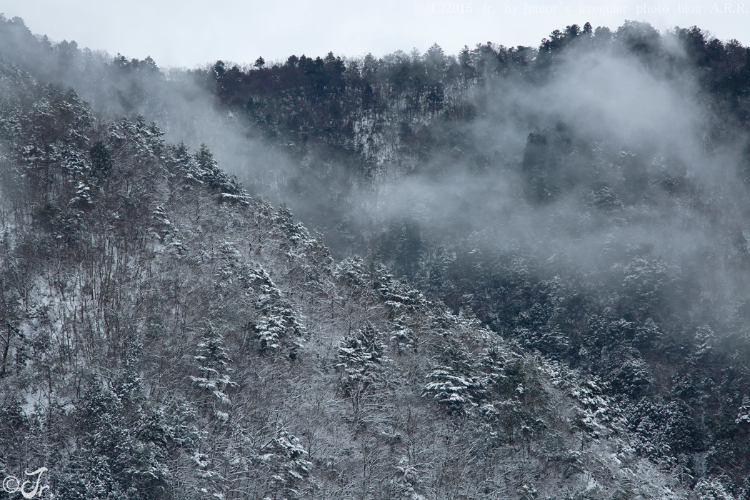 京都　雪の里へ　1_a0313234_15254801.jpg