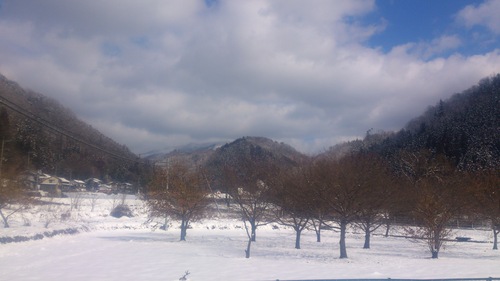 晴れた日の束の間の　雪景色。_c0300035_125749.jpg