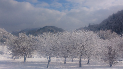 晴れた日の束の間の　雪景色。_c0300035_9551975.jpg